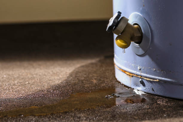 Best Mold removal after water damage  in Oak Leaf, TX