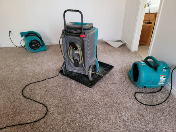 Best Water damage restoration specialists  in Oak Leaf, TX