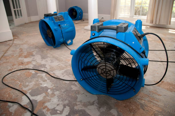 Best Carpet water damage restoration  in Oak Leaf, TX