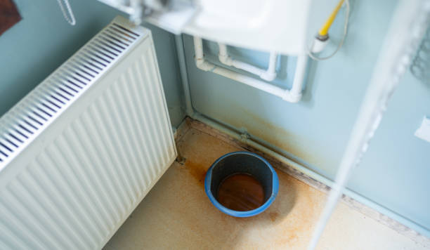 Best Professional water damage repair  in Oak Leaf, TX
