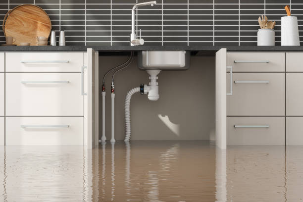Best 24/7 water damage repair  in Oak Leaf, TX