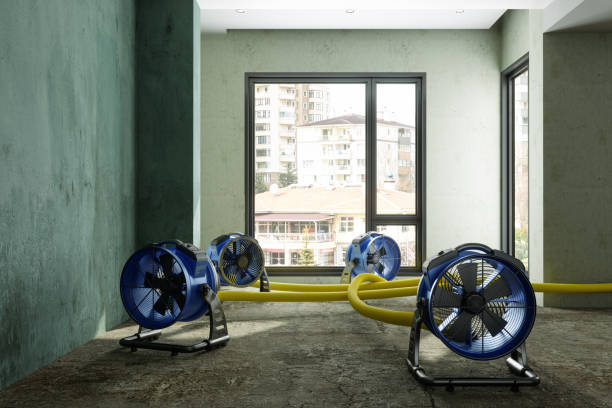 Best Water damage contractors near me  in Oak Leaf, TX